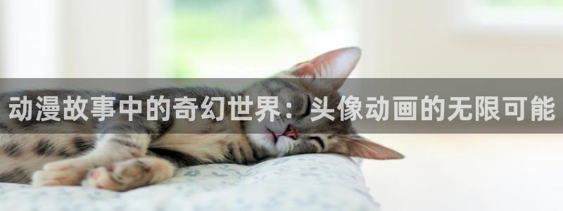 age动漫下载动漫全免费