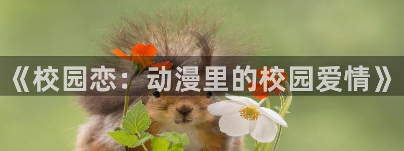 age动漫官网版入口