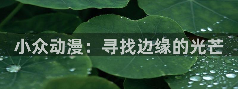 age动漫正版网：小众动漫：寻找边缘的光芒