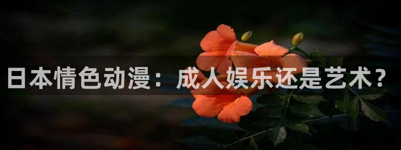 age动漫官网在线入口：日本情色动漫：成人娱乐还是艺术？