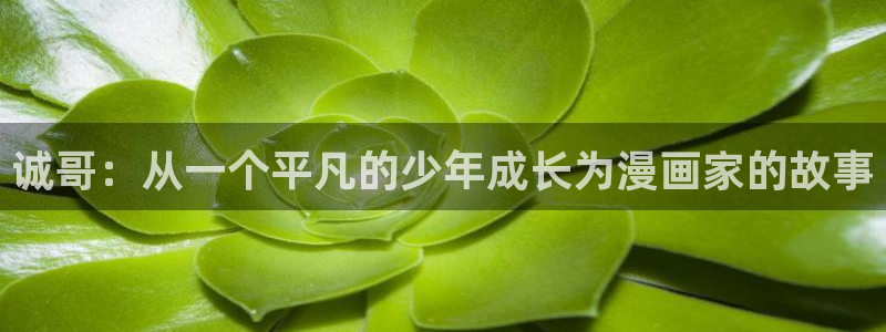 age动漫网官网入口：诚哥：从一个平凡的少年成长为漫画家的故事