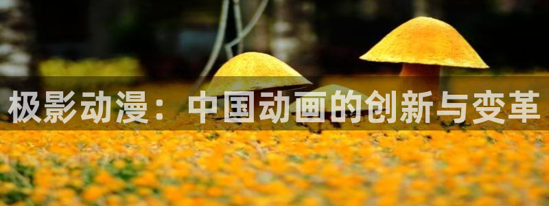 kakaopage韩漫官网：极影动漫：中国动画的创新与变革