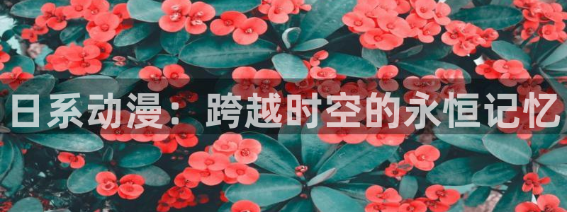 age动漫官网在线入口