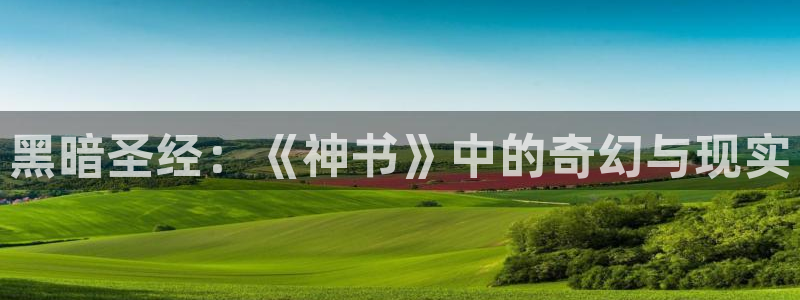 拷贝漫画 copymanager.ory网站