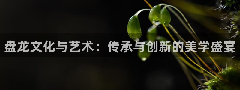 age动漫官网在线入口