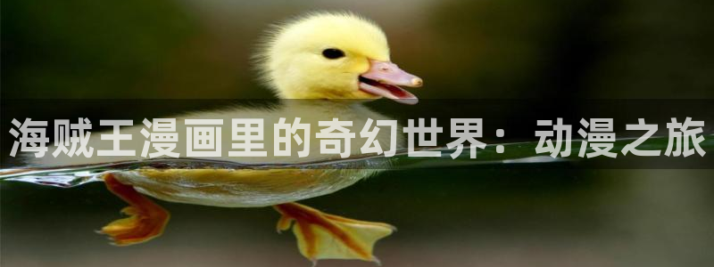 age动漫网上看