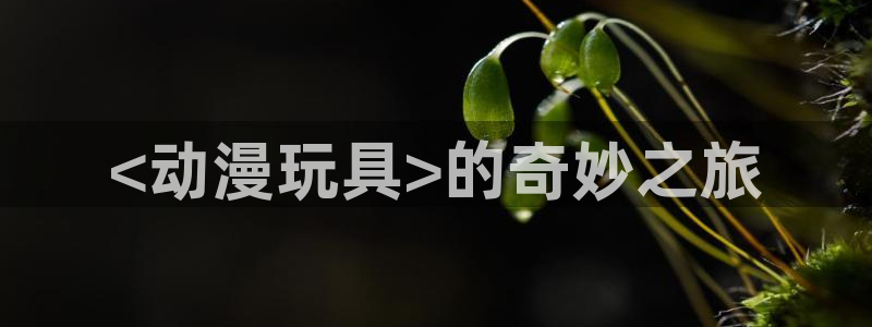 age动漫正版网
