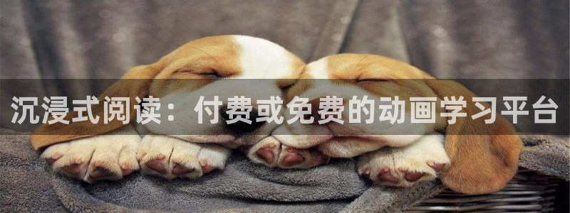 age动漫樱花