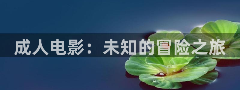 在线动画动漫下载age动漫：成人电影：未知的冒险之旅